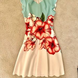 Ted Baker floral skater dress